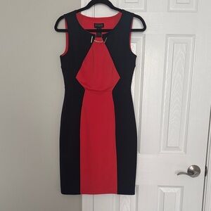 Colorblock Dress